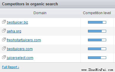 一个 Amazon 英文 Niche 站完整建设案例