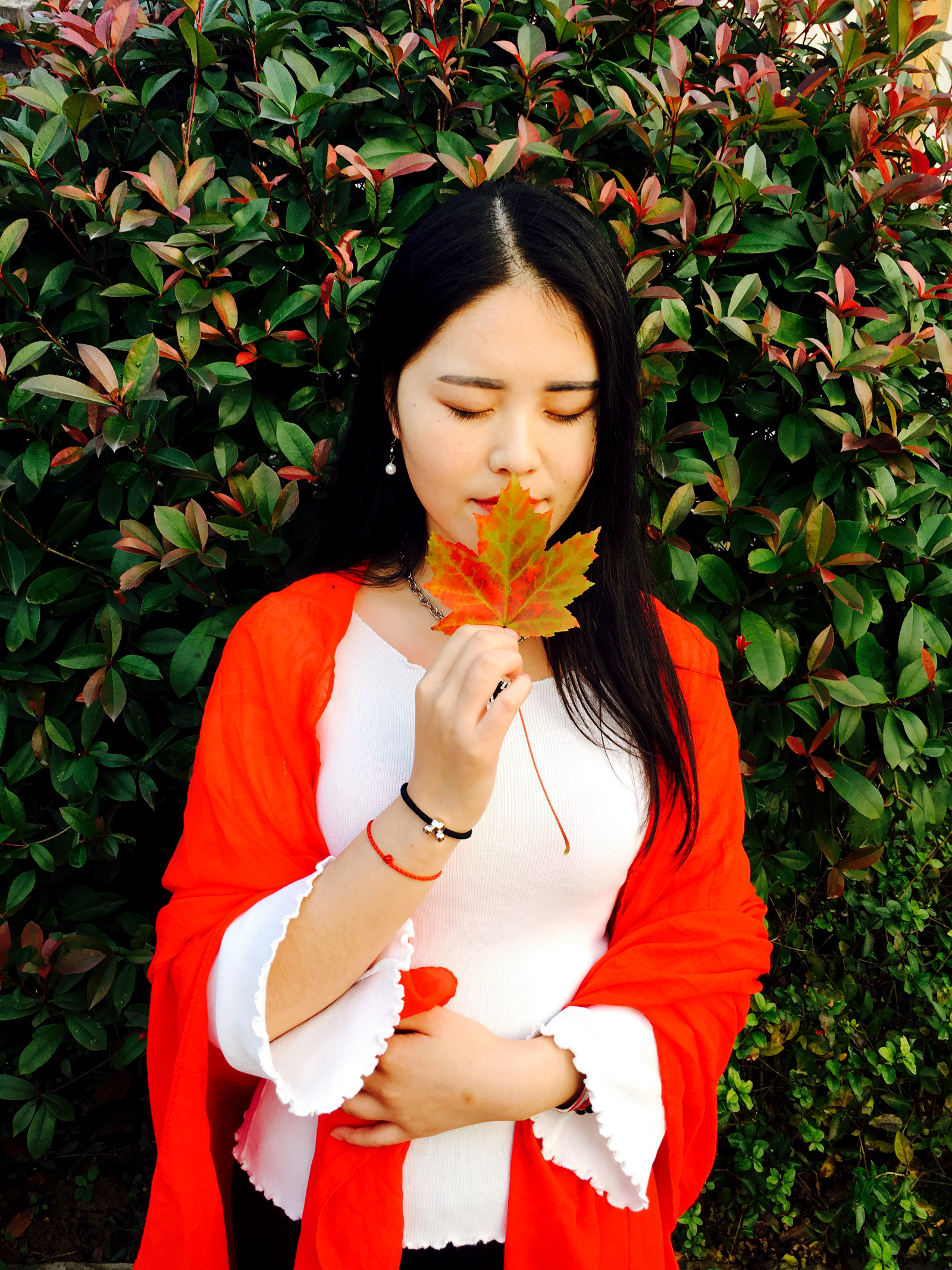 一往情深深几许？恰似深秋枫叶红（2016 在丰胜古镇）