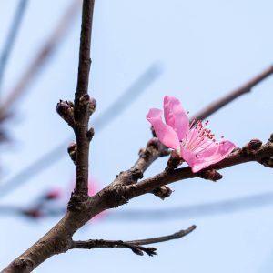 什么是“通透”？如何提升照片的通透感