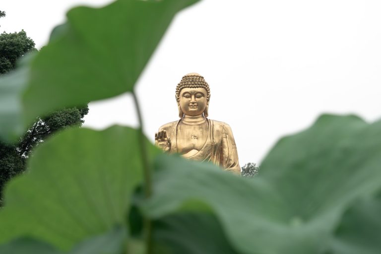 in 2019.06.16 华严寺 雨中赏荷-7