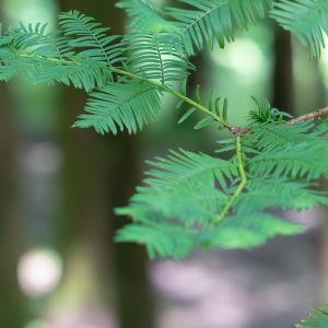 南川山王坪的夏日团建 & 近期生活记录