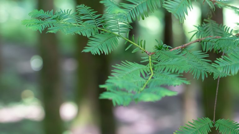 20190810 公司山王坪团建