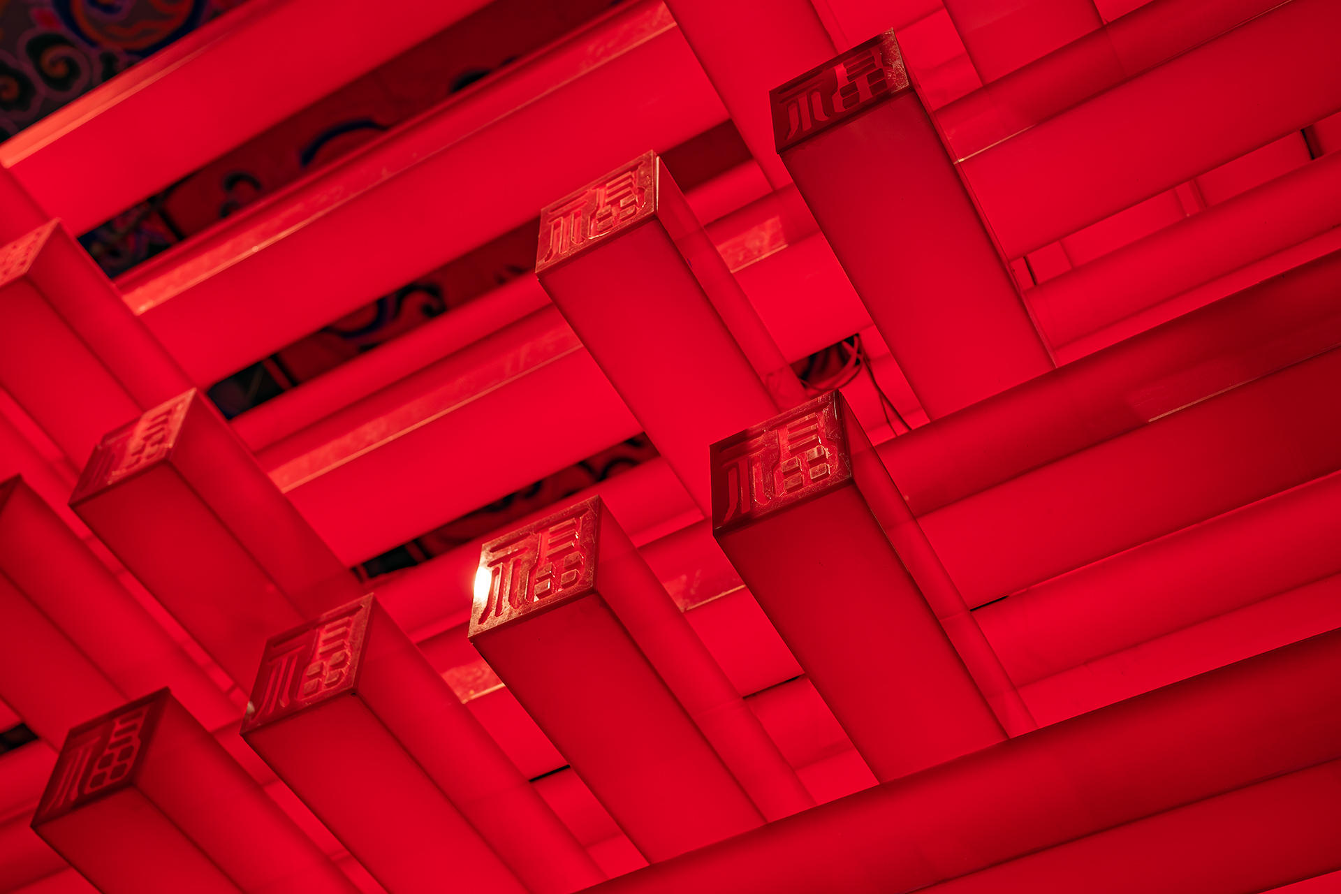 近况（二零二一 · 春夏）