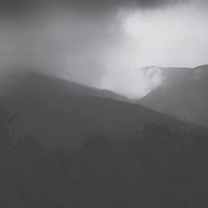 近一年来工作总结（2022~2023）