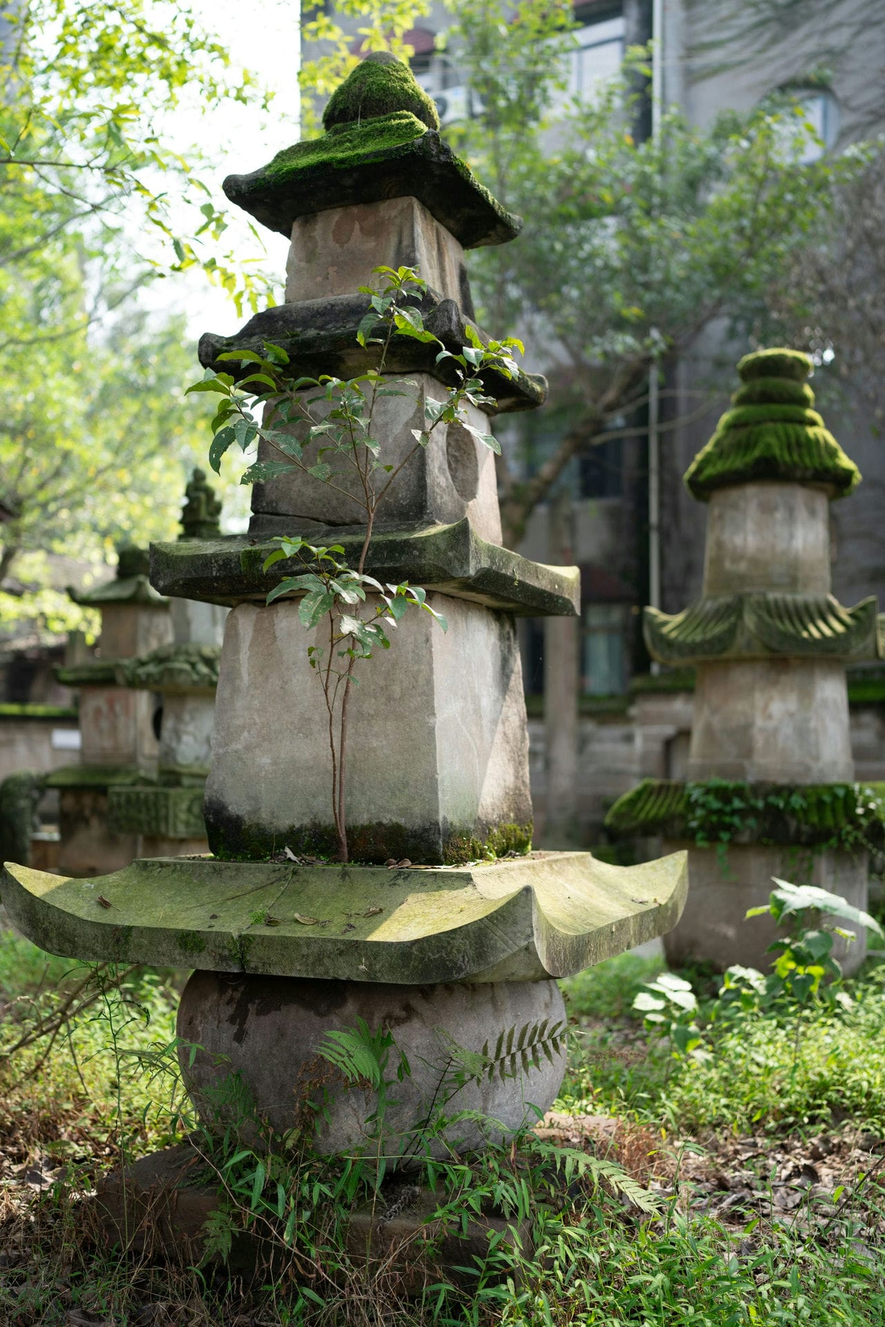 打卡被称为“重庆祖屋”的大圆祥博物馆