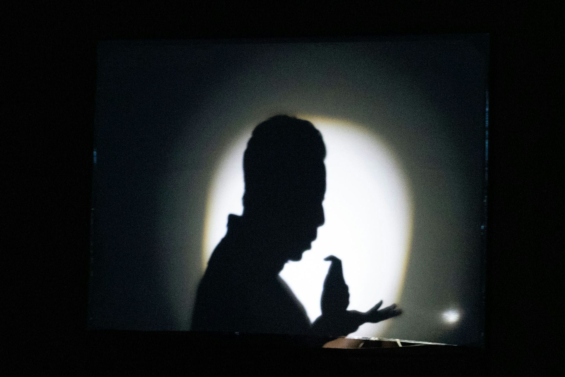 昨晚梦到辞职了