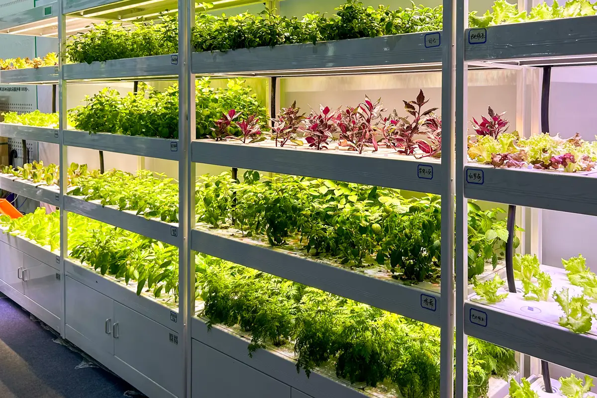 闲时看展：漫步第 83 届中国教育装备展、重庆智慧城市&公共安防产品展