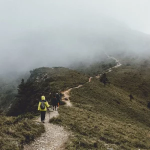 摄影美学六讲（细草穿沙），东方意境之美
