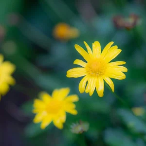 和奶奶漫步荣昌铜鼓山和古佛山