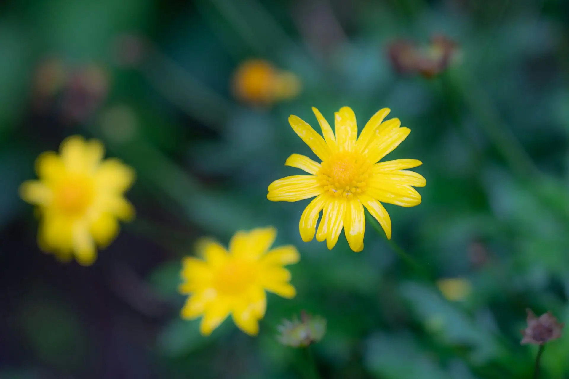 和奶奶漫步荣昌铜鼓山和古佛山