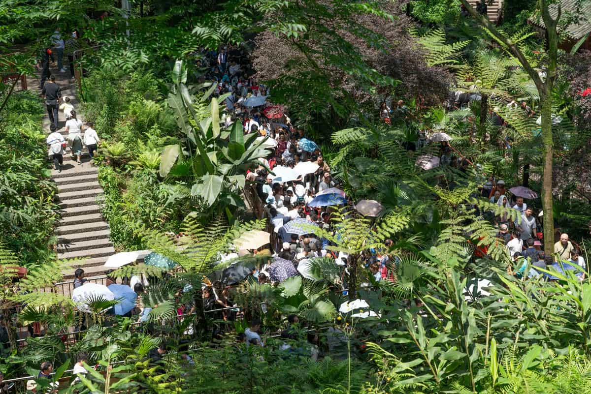 乐山大佛“下佛脚”排队人群