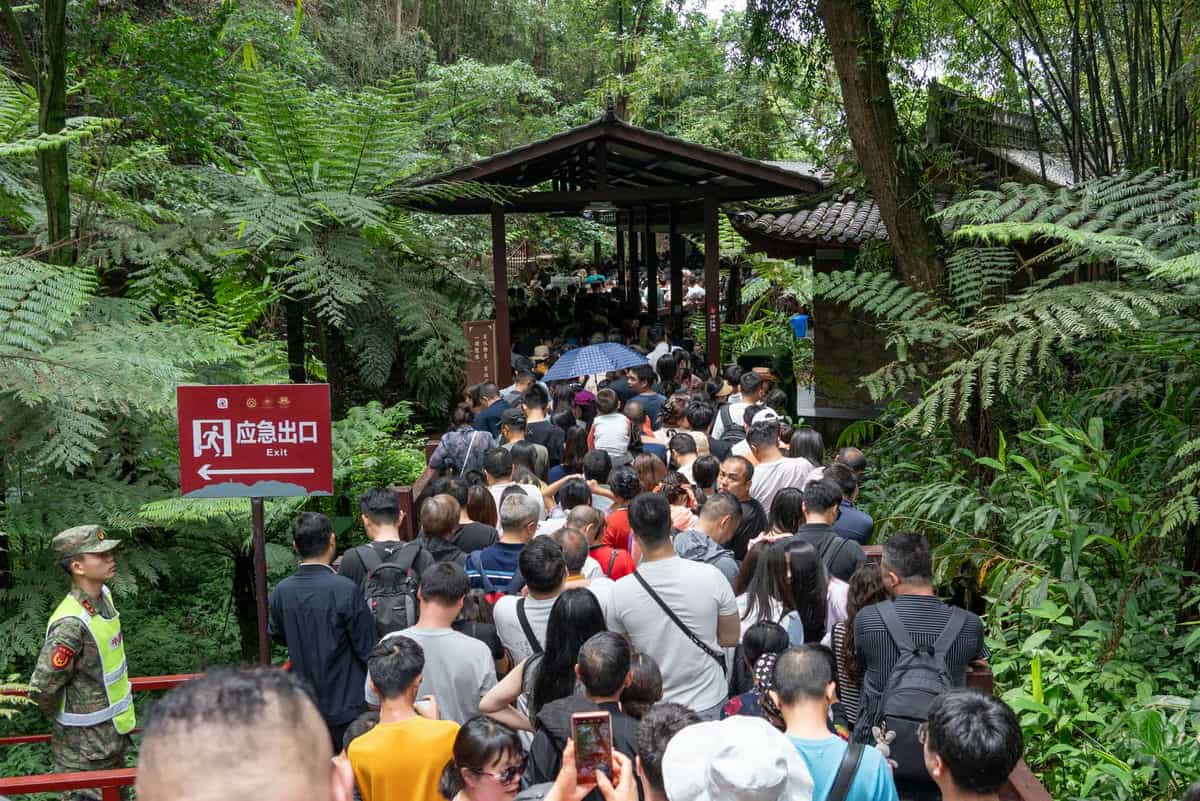 乐山大佛“下佛脚”排队人群