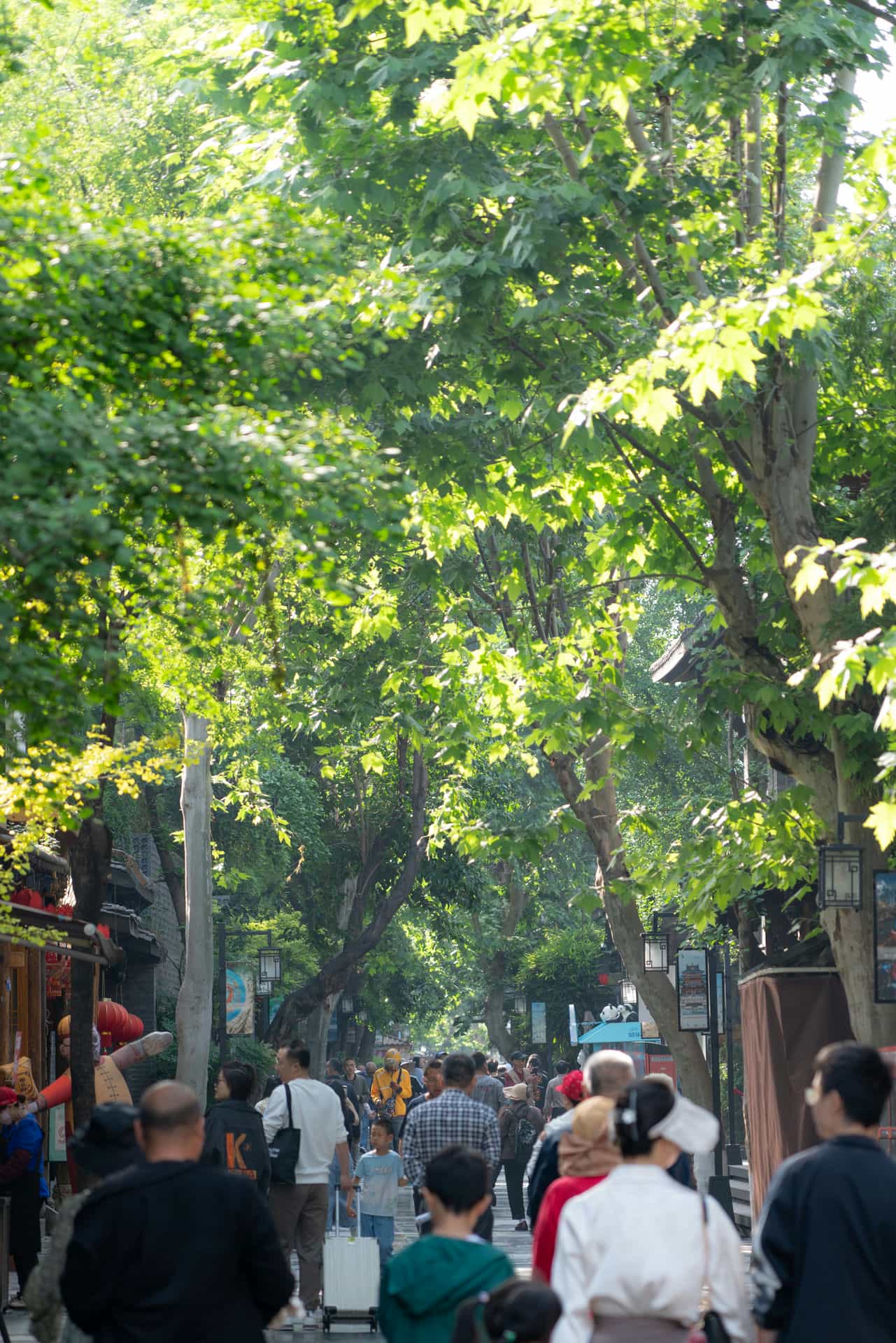 四川成都宽窄巷子