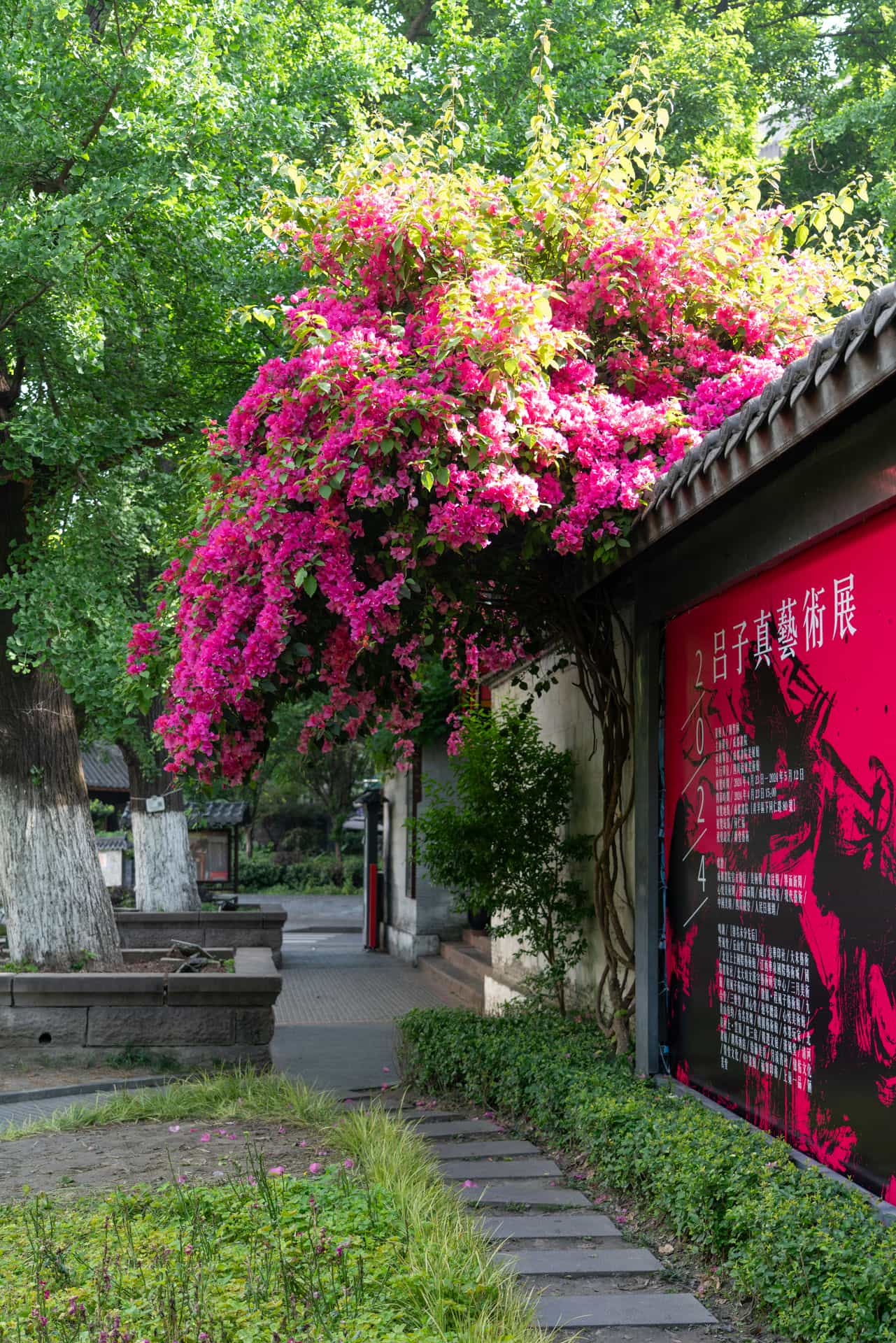 四川成都宽窄巷子