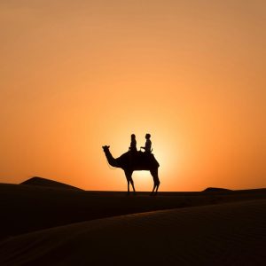 美国纽约摄影学院摄影教材（上下册）高清版