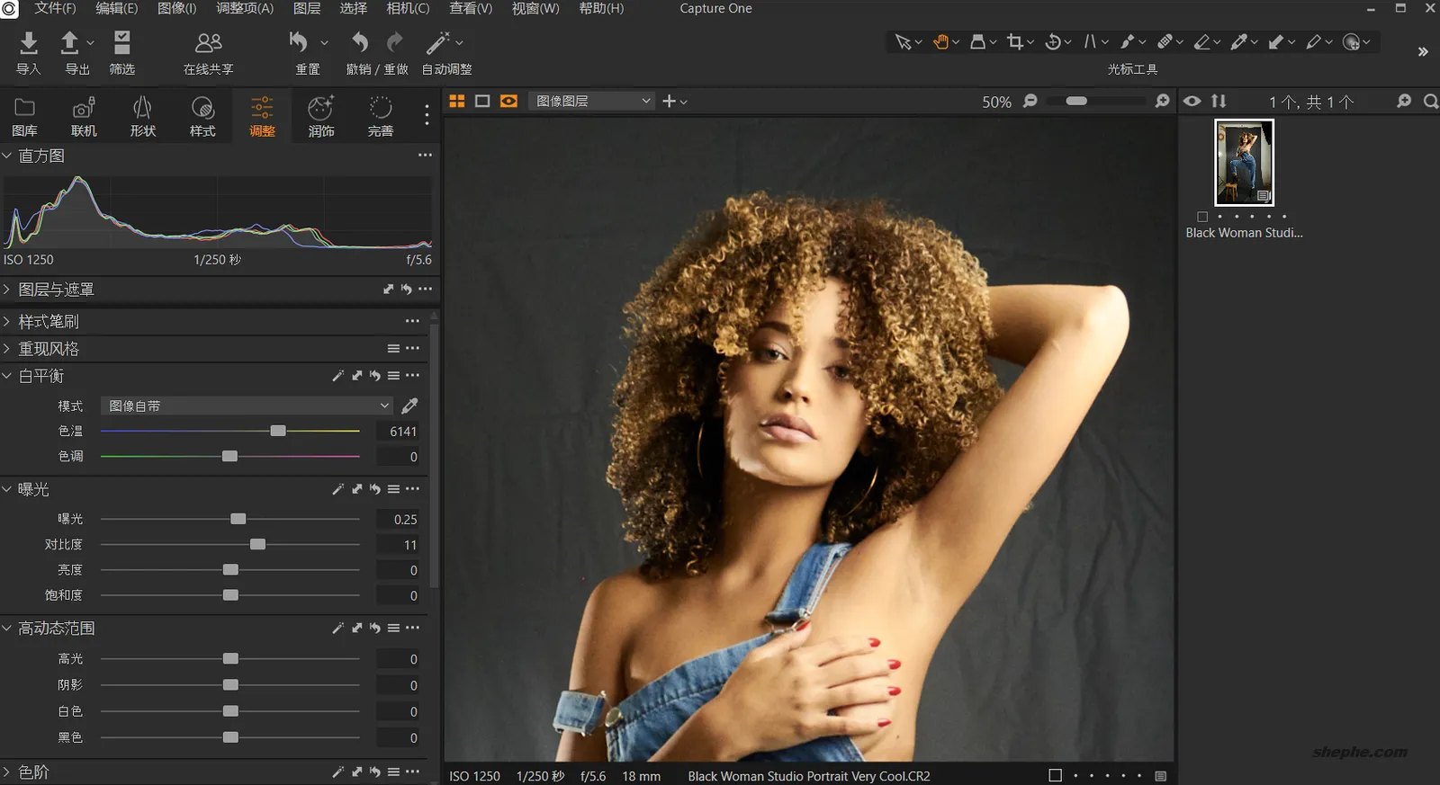 Capture One Pro/Enterprise 16.6.6.3111 RAW 图像编辑处理软件破解版下载