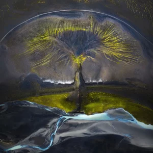 为什么要建设网站？分享一段我的建站历程