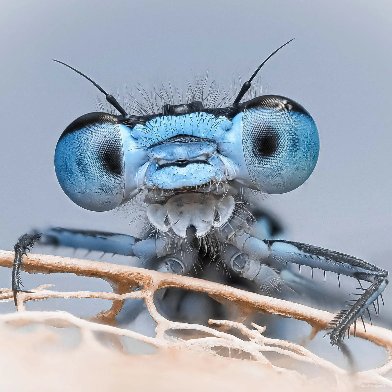 哈苏大师赛青年组获奖作品