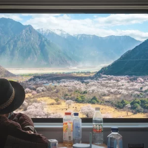 拉尔德·曼特《摄影构图与色彩设计》下载