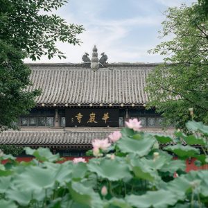 华岩寺赏荷 & 荷花摄影和后期分享 ?