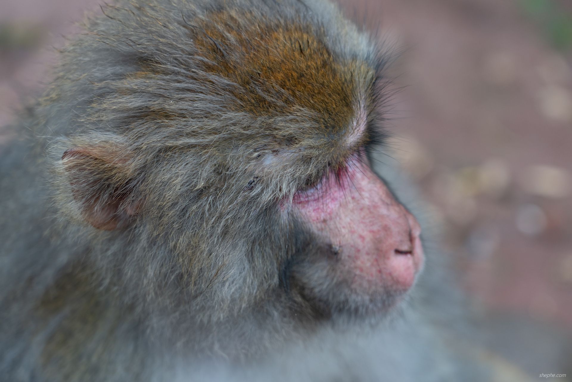 二〇二四·国庆出行记录：西昌建昌古城、邛海泸山景区与汉源湖