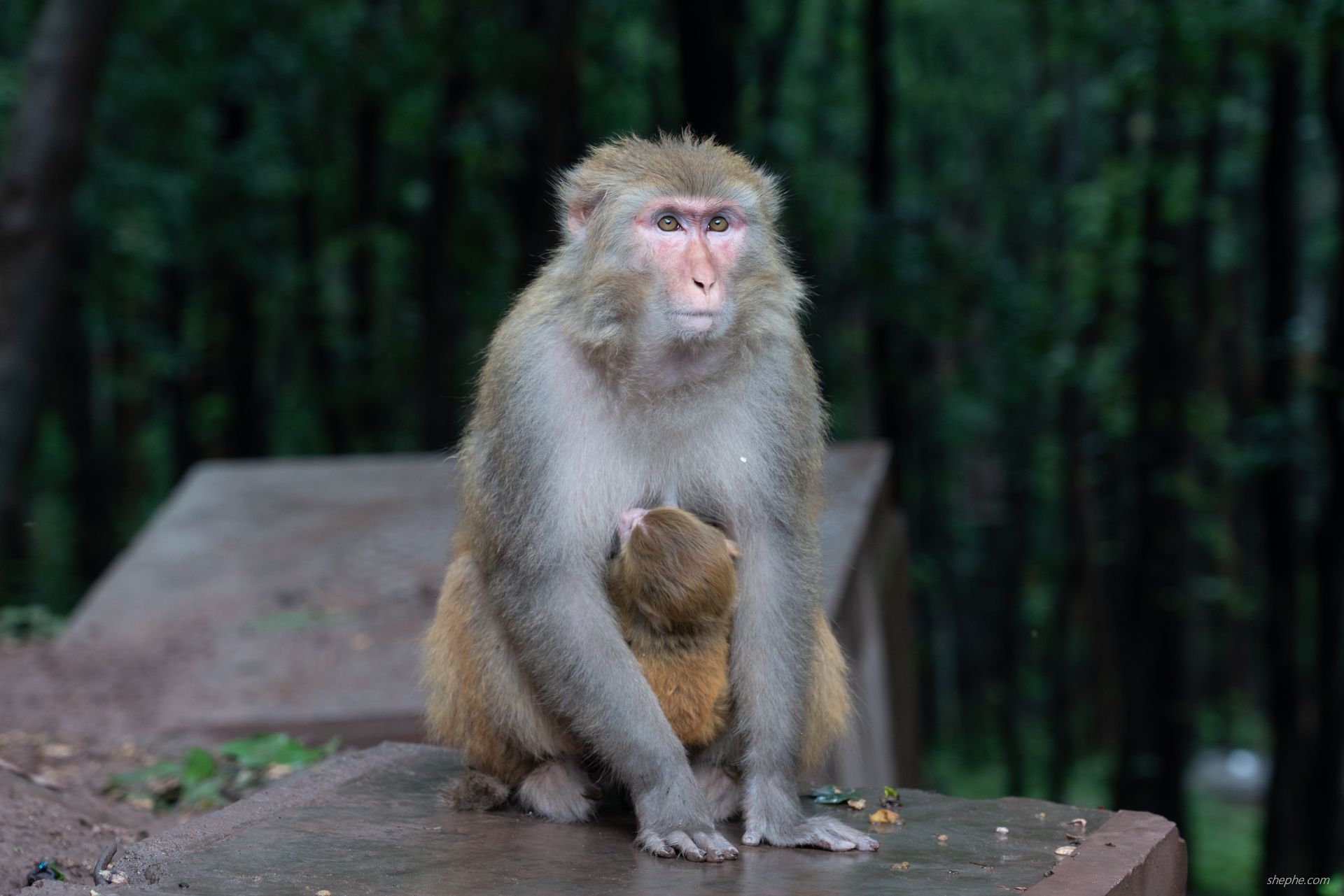 二〇二四·国庆出行记录：西昌建昌古城、邛海泸山景区与汉源湖