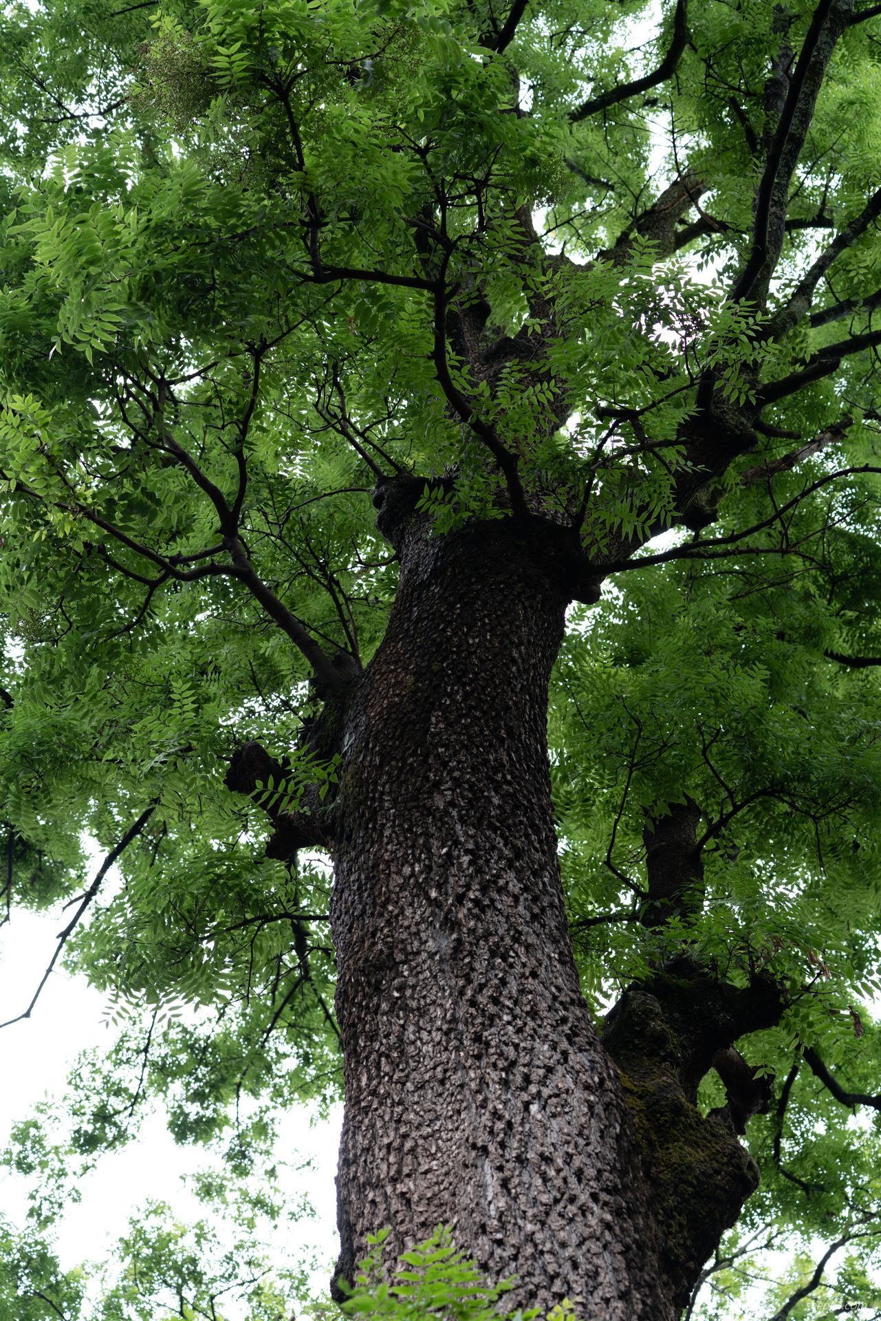 二〇二四·国庆出行记录：西昌建昌古城、邛海泸山景区与汉源湖