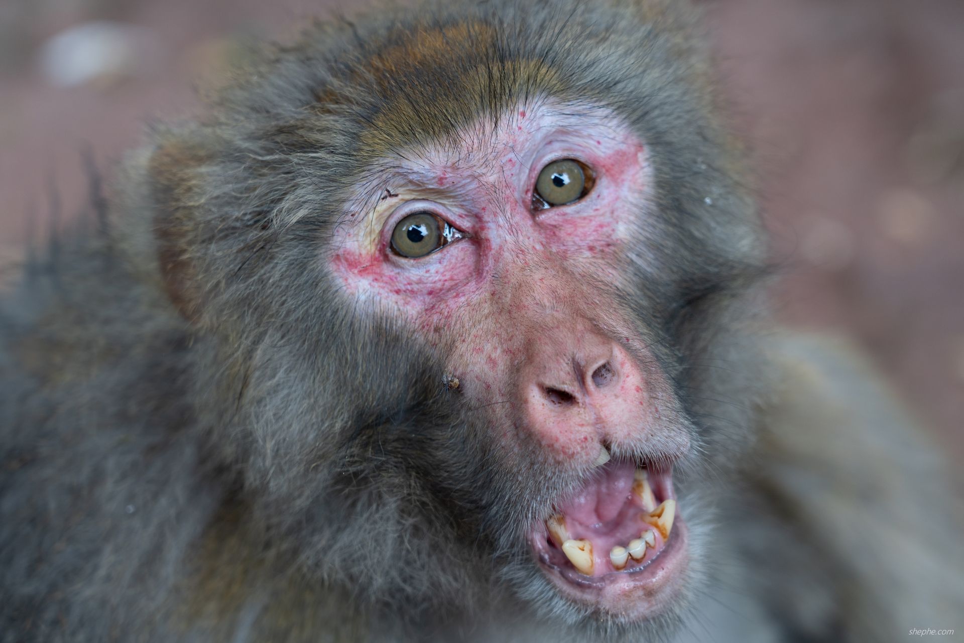 二〇二四·国庆出行记录：西昌建昌古城、邛海泸山景区与汉源湖