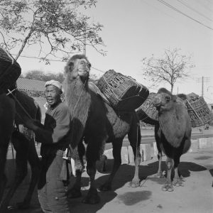 经典摄影书《摄影师之眼》高清扫描版下载