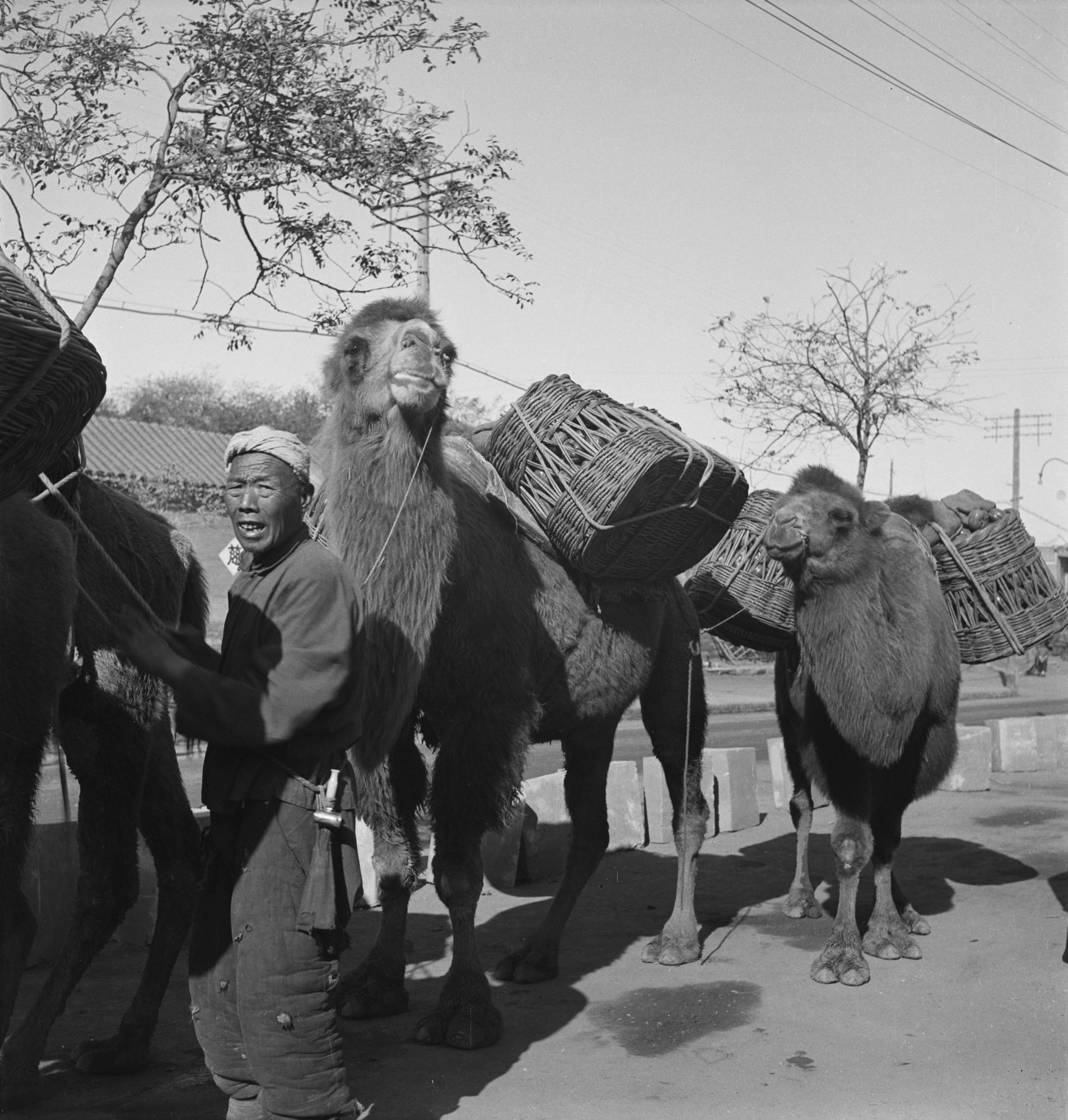 赫达·莫里逊镜头下的中国（1933 ~ 1946 年）