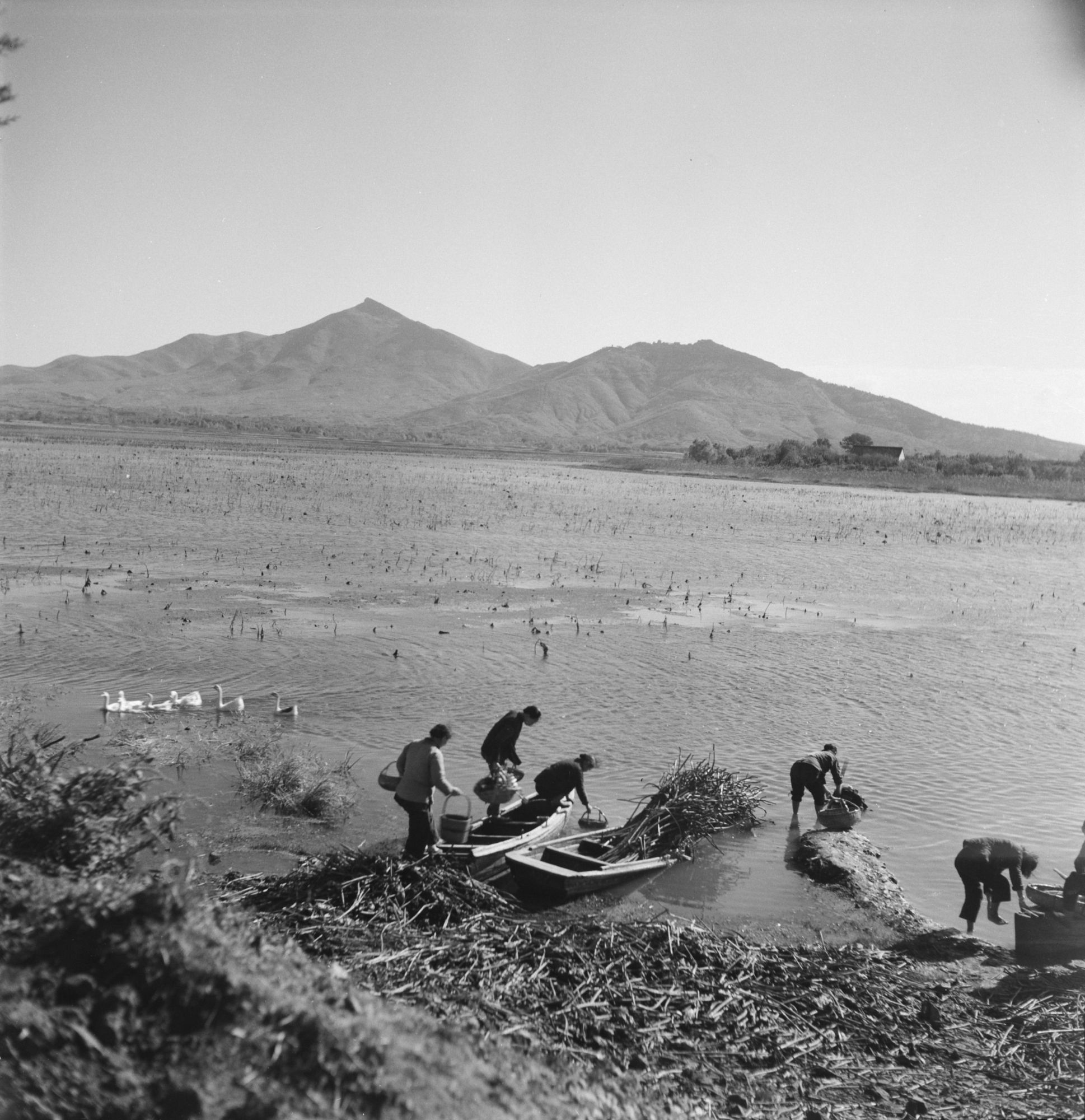赫达·莫里逊镜头下的中国（1933 ~ 1946 年）