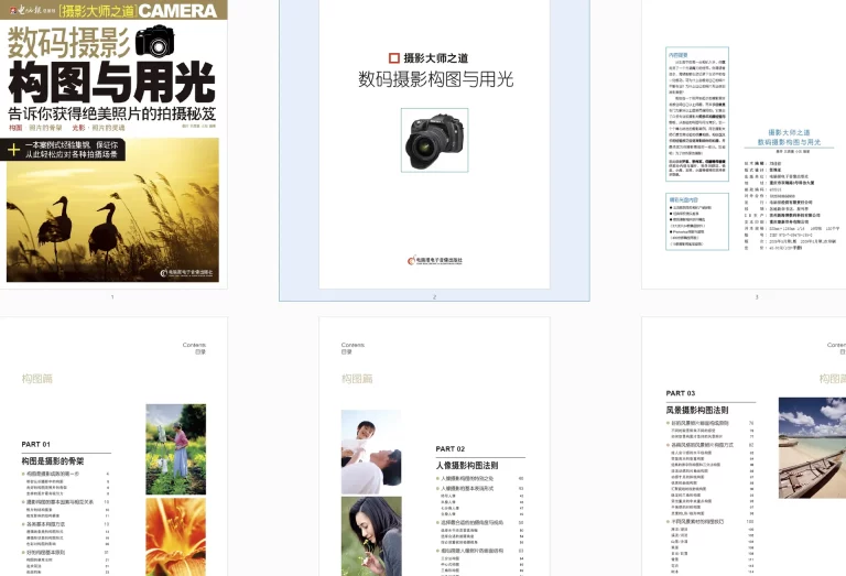 数码摄影构图与用光下载（墨叶/王鹿童/小灰）