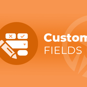 WordPress 自定义字段介绍 & 本站在用字段分享