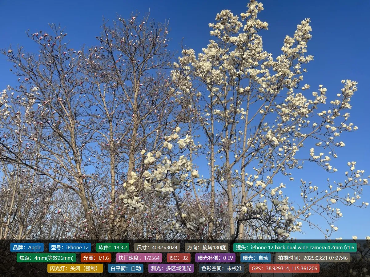 用 WP Simple EXIF 让博客图片展示更多细节信息