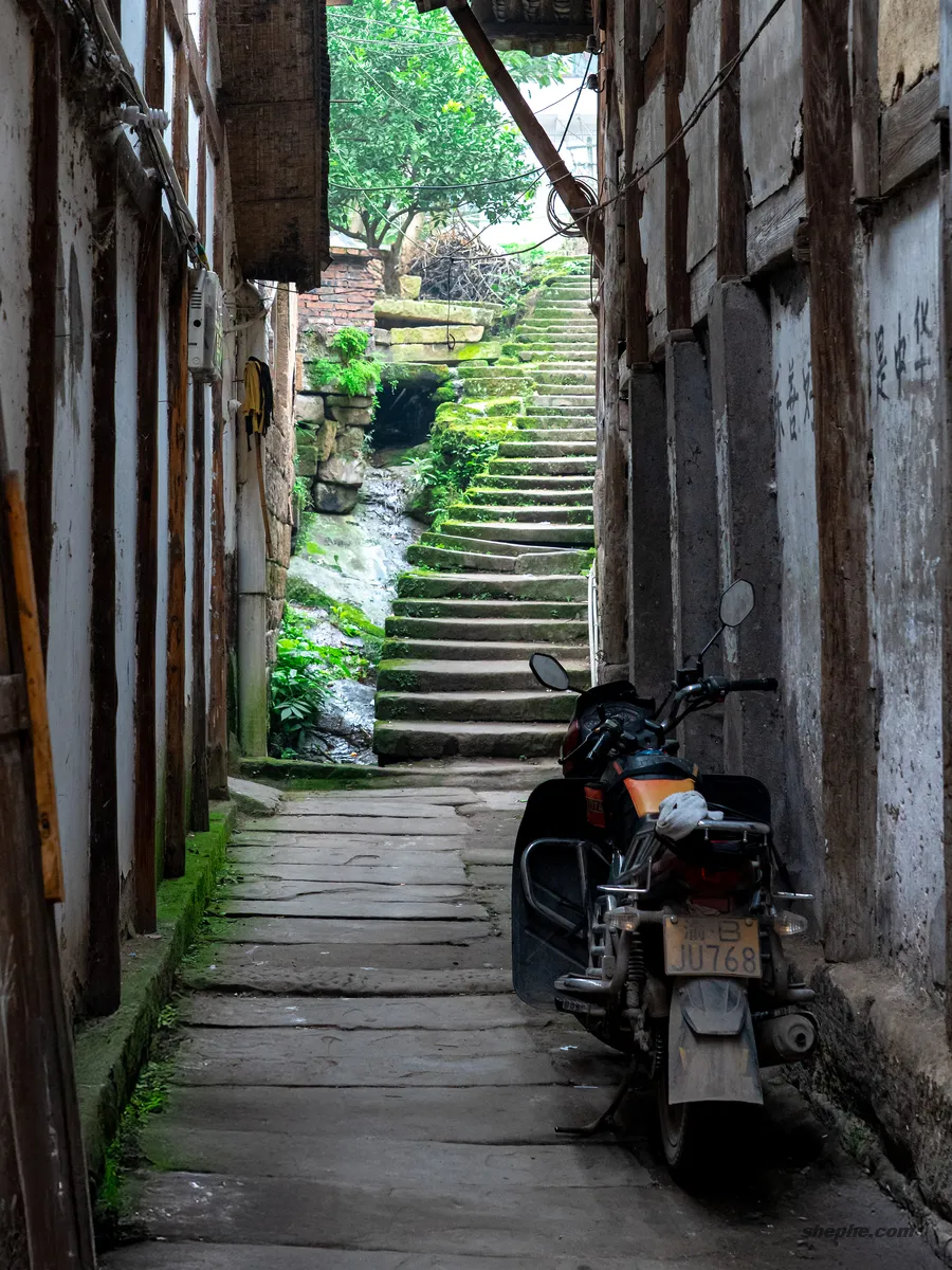 Photoshop 账号租赁购买，支持 AI 创成式填充