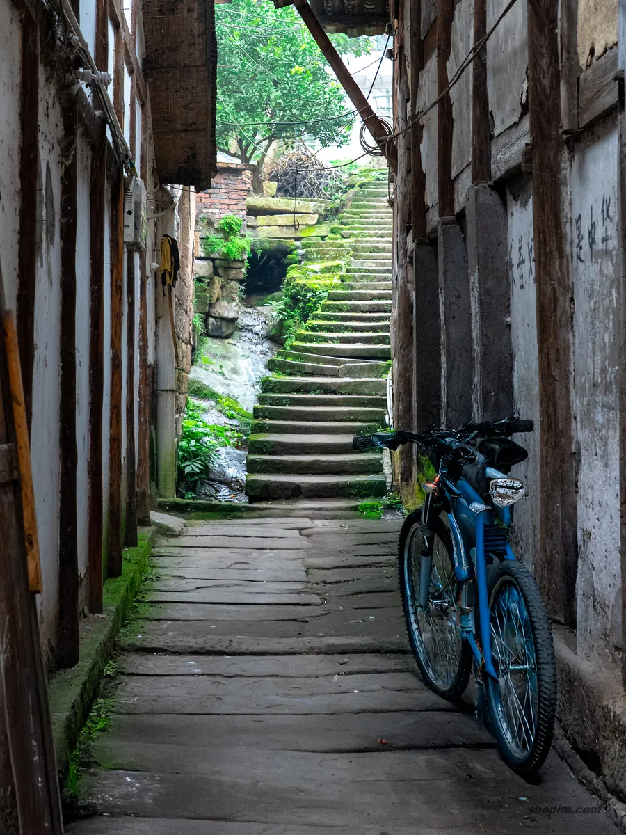 Photoshop 账号租赁购买，支持 AI 创成式填充