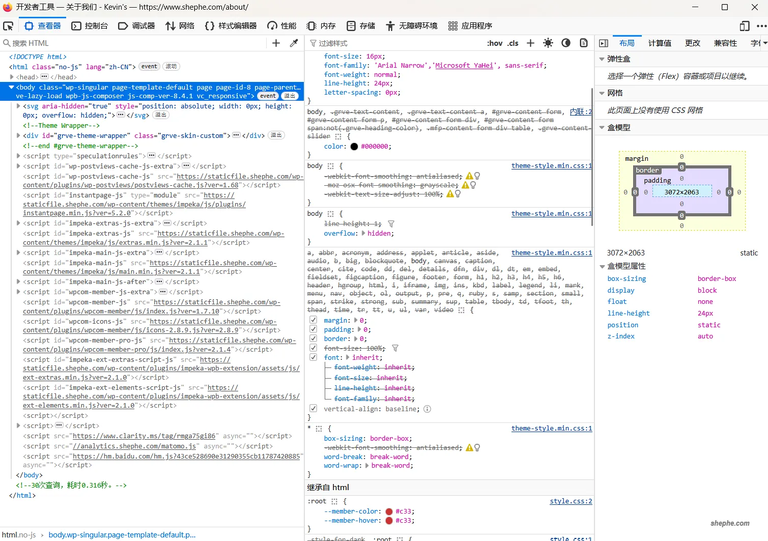 用浏览器开发者工具优化 WordPress 网站速度 ?
