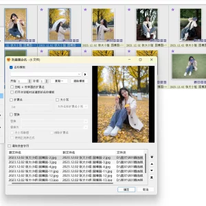 XnView MP：强大、免费且易用的图片管理利器