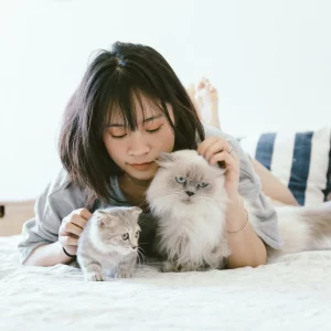 Adoebe Creative Cloud 全家桶账户获取，可用 PS AI