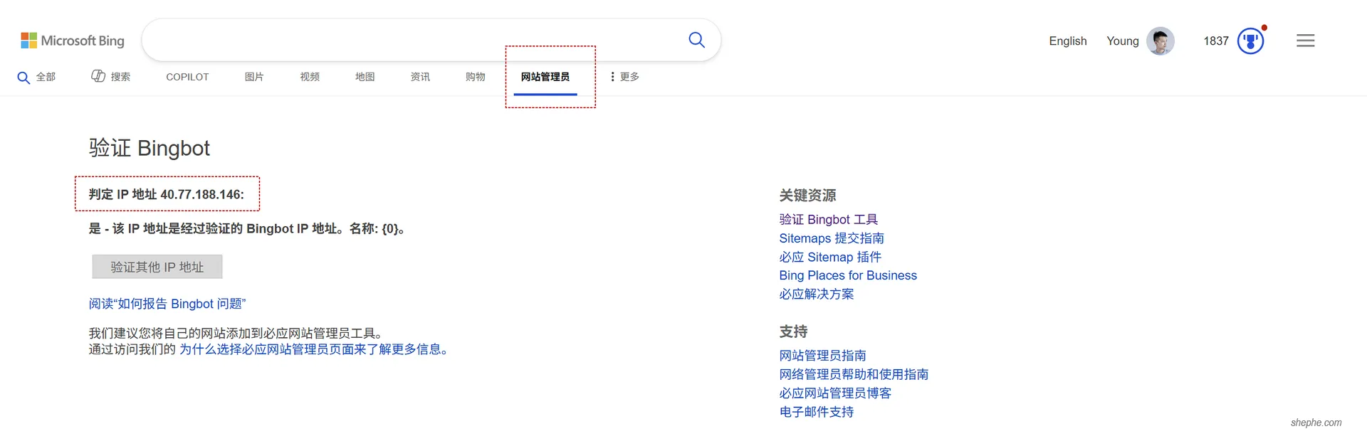 Bing 蜘蛛查询页面