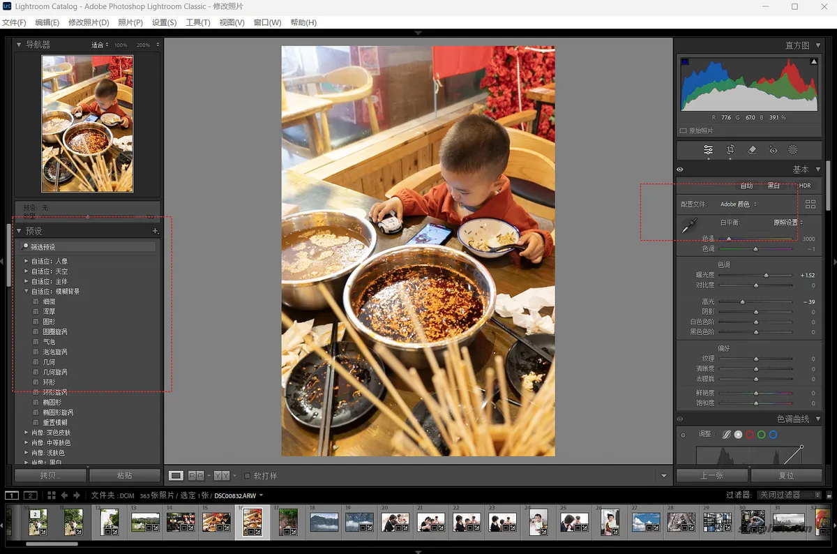 如何在 Lightroom 中导入预设、配置文件和滤镜