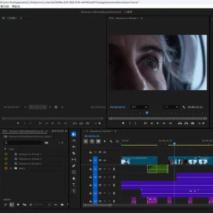 Adobe Premiere Elements 和 Premiere 的区别是什么