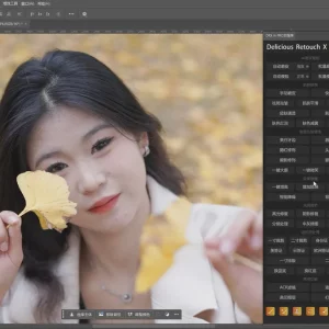 Photoshop DRX AI Pro 人像后期磨皮美颜插件下载