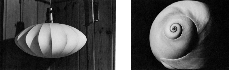 打造深度与层次：摄影构图中的立体感（篇二）