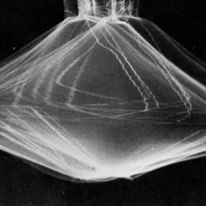 打造深度与层次：摄影构图中的立体感（篇四）