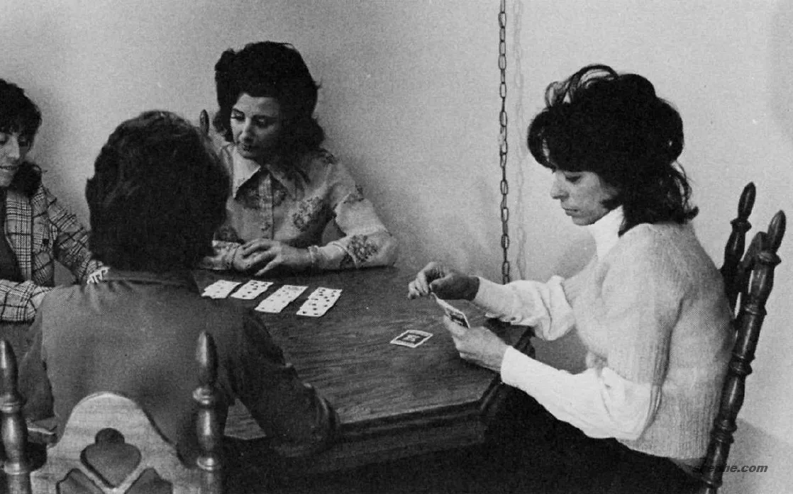 布局对摄影意图的强调作用（摘自摄影构图学）