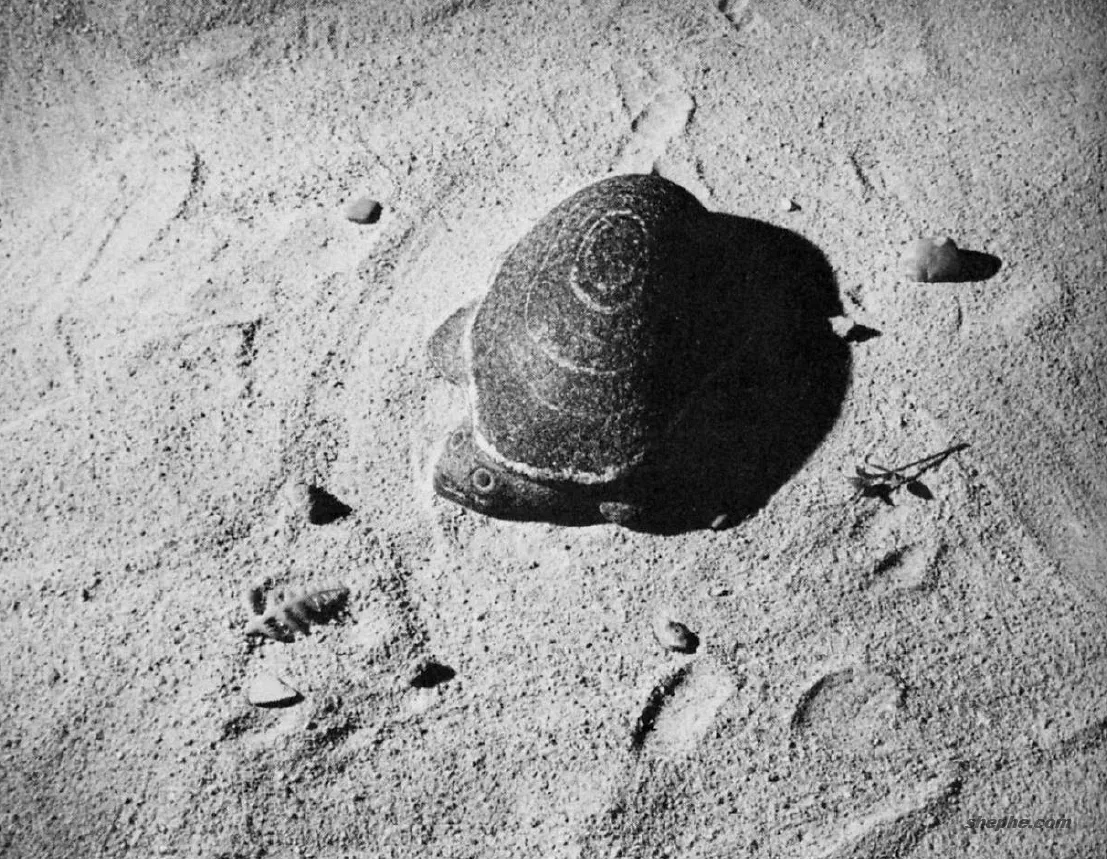 单一物体的布局艺术（摘自《摄影构图学》）