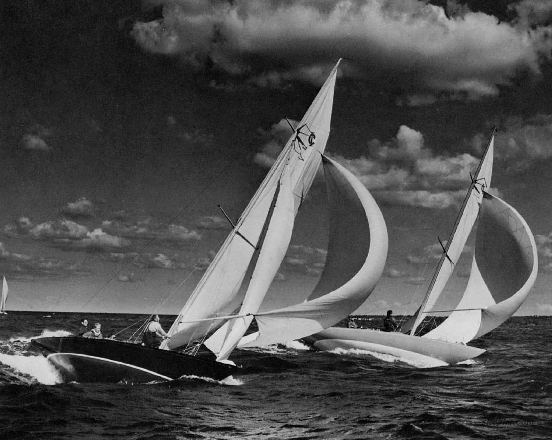 摄影构图如何构造焦点？照片的趣味中心是什么