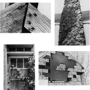 观察自然界的质地，提升照片中的“质感”