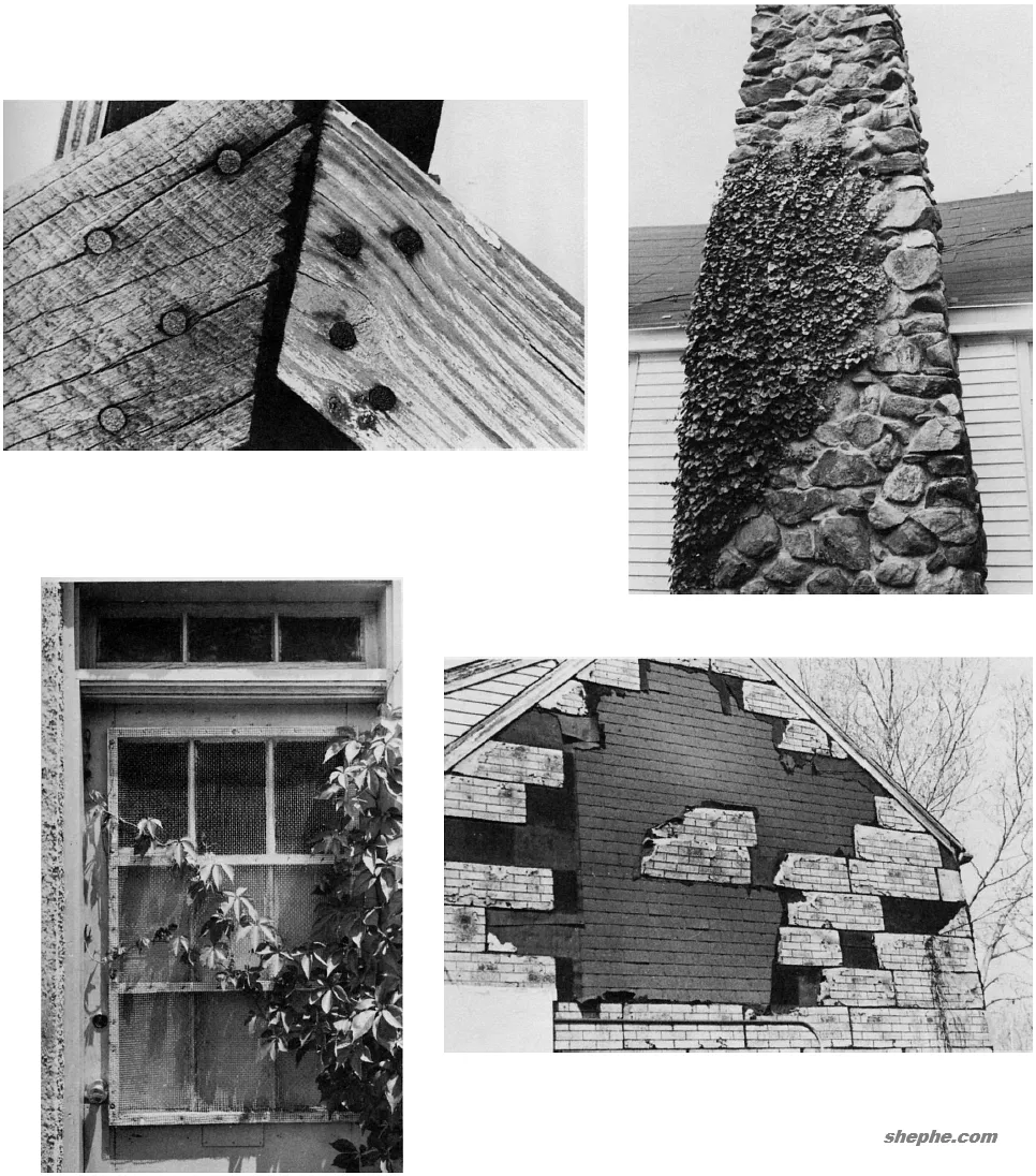 观察自然界的质地,提升照片中的“质感”